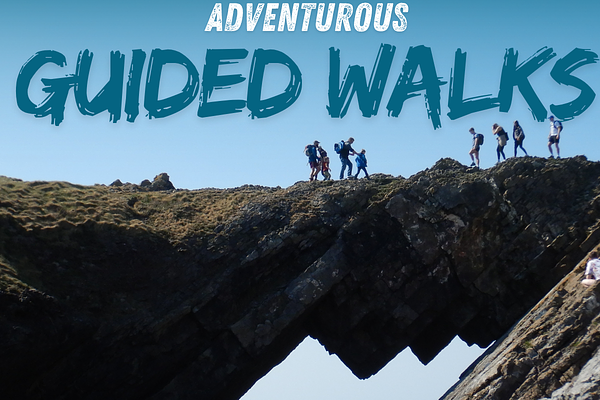 Guided Walks