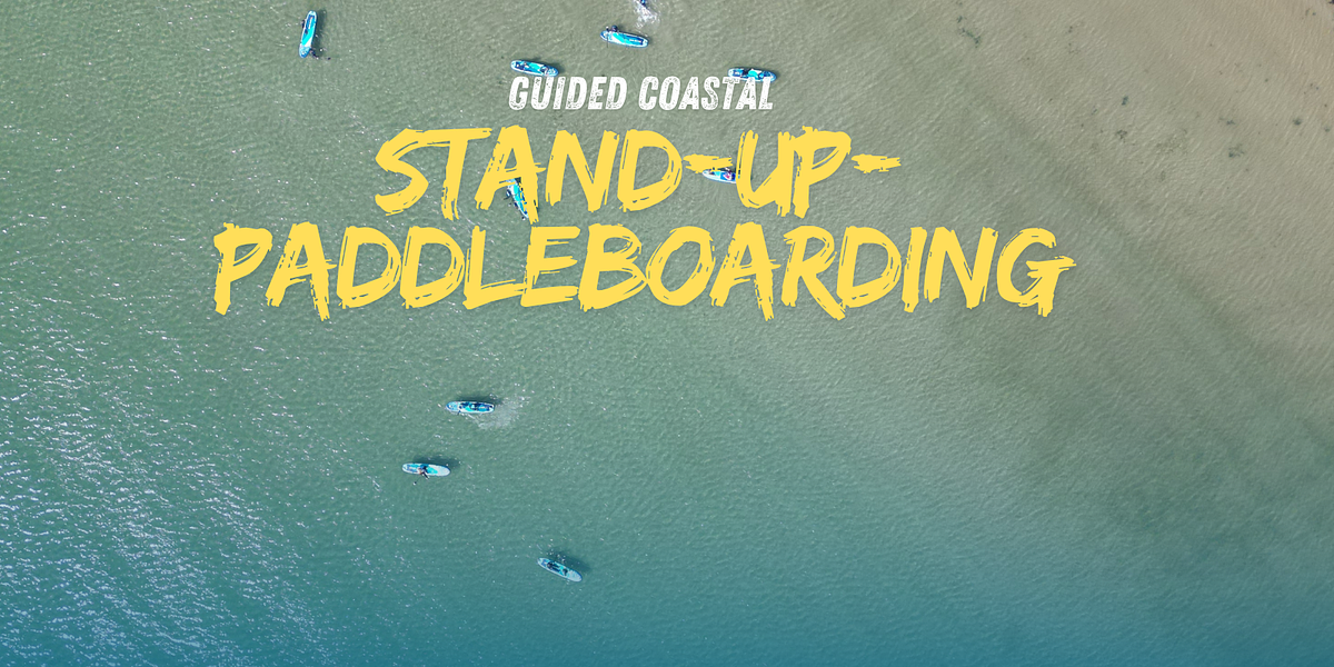 Stand Up Paddle Boarding 
