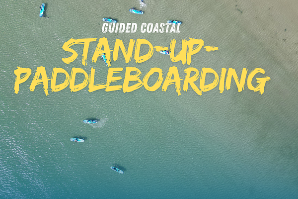Stand Up Paddle Boarding 